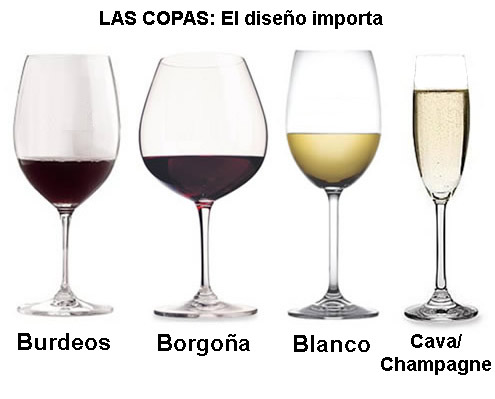 Qué tipo de copa utilizar para cada vino (tinto, blanco, espumoso…)?