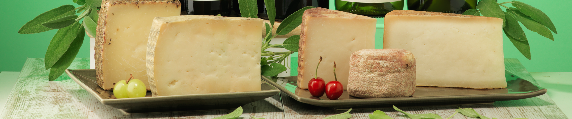 ¿Cuáles son los quesos característicos de las distintas regiones de España?