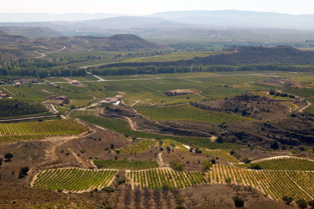 Conoce Gonzalo de Berceo