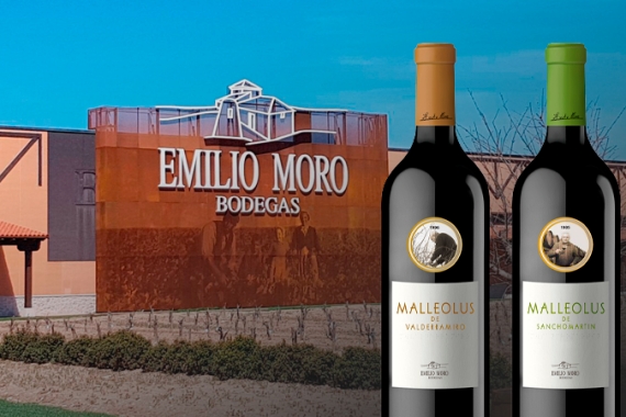 Malleolus Emilio Moro