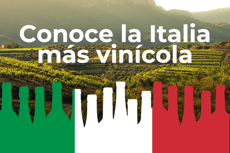 Dejate sorprender por la calidad de los mejores vinos italianos