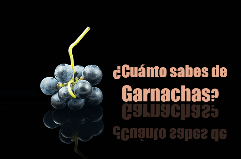Descubre los mejores vinos de uva Garnacha