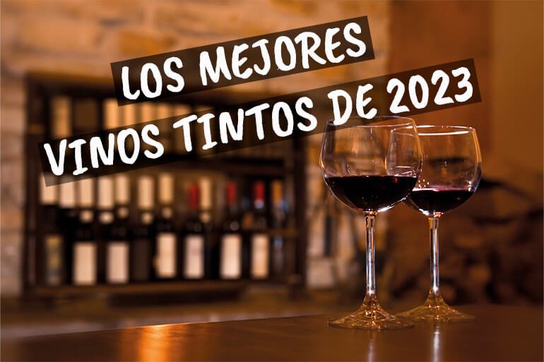 Descubre los mejores vinos tintos