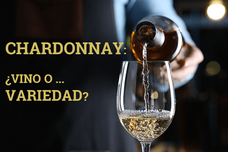 Descubre las características del vino chardonnay