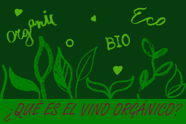 Descubre qué es el vino orgánico y cómo se produce