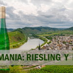 Descubre el vino riesling y otros vinos de Alemania