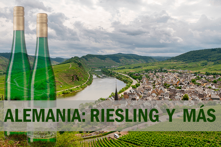Descubre el vino riesling y otros vinos de Alemania