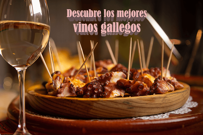 Descubre los mejores vinos gallegos