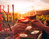 Descubre los mejores vinos Ribera del Duero