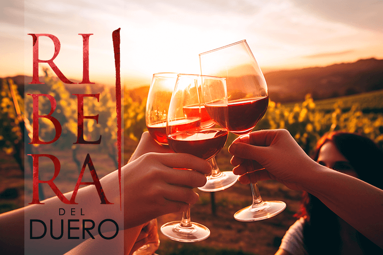 Descubre los mejores vinos Ribera del Duero