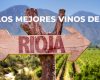 Descubre cuáles son los mejores vinos Rioja