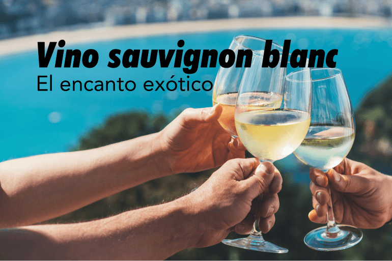 Descubre en las características del vino de Sauvignon Blanc