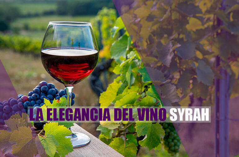 Descubre el vino syrah