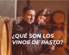 Toda la información sobre qué son los vinos de pasto.