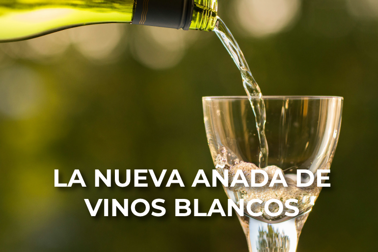 Descubre qué son las añadas de vinos y la mejor añada de vino blanco 2023
