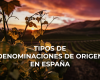 Descubre toda la información sobre las principales denominaciones del vino en España