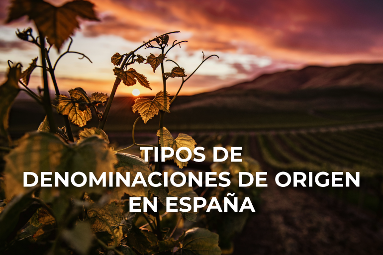 Descubre toda la información sobre las principales denominaciones del vino en España