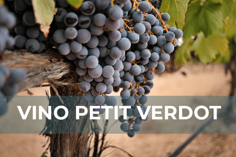oda la información sobre el vino Petit Verdot