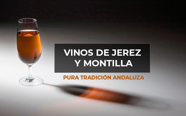 Toda la información sobre los vinos de Jerez y Montilla, referentes de Andalucía.
