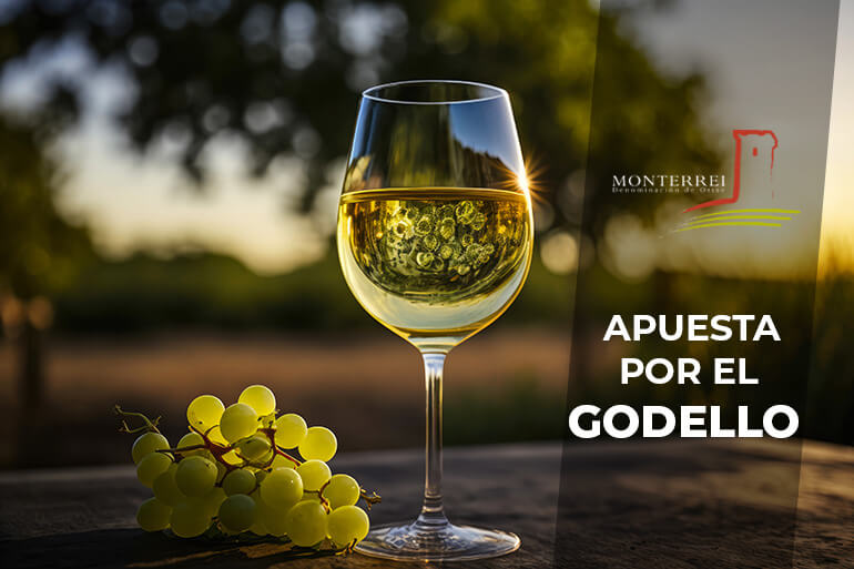 Las características de la D.O. Monterrei