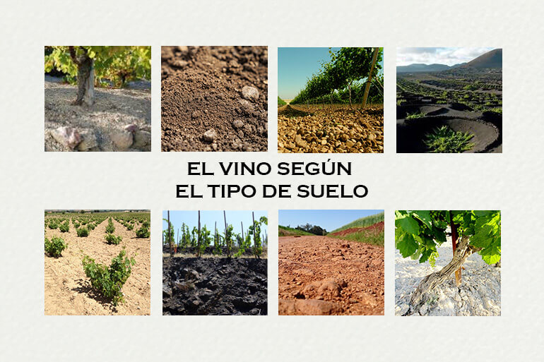 Descubre los tipos de suelos más habituales en nuestros viñedos