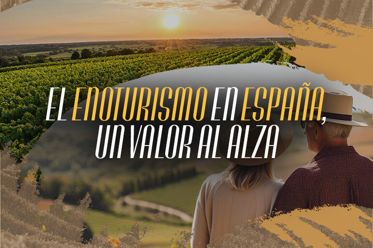 Enoturismo en España, una opción que es tendencia