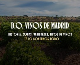 Descubre toda la información sobre la Denominación de Origen Vinos de Madrid