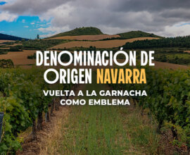 Descubre la Denominación de Origen Navarra