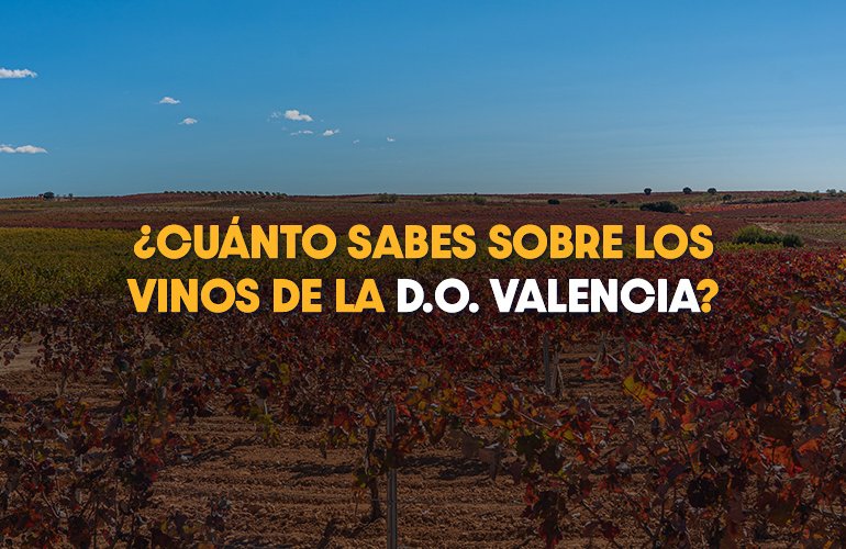 Descubre las características y los vinos de la Denominación de Origen Valencia