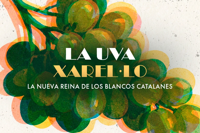 Xarel·lo, la nueva reina de los blancos catalanes