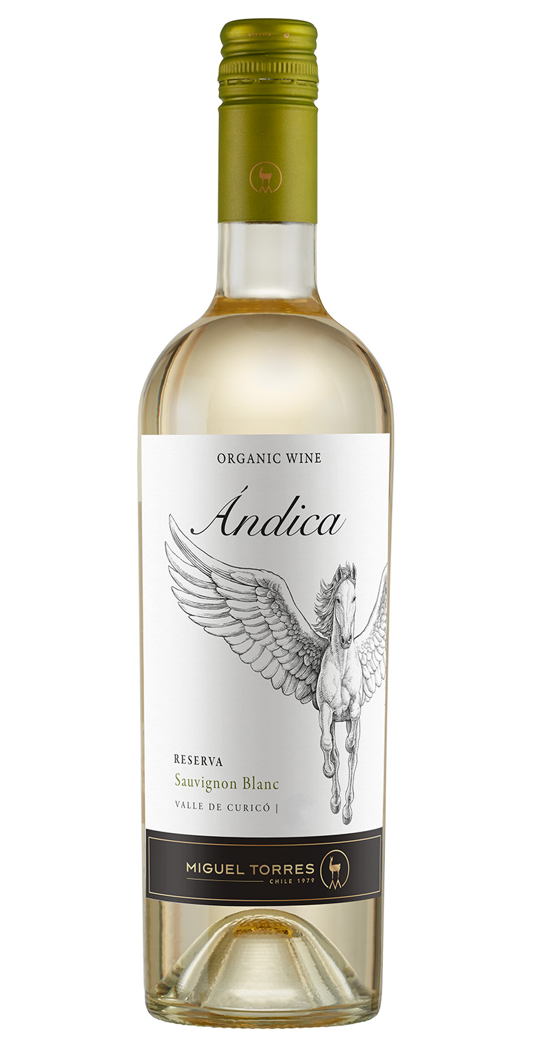 Ándica Sauvignon Blanc 2025 8.62