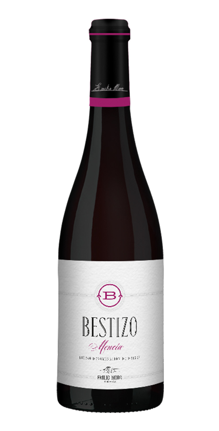 Bestizo 2024