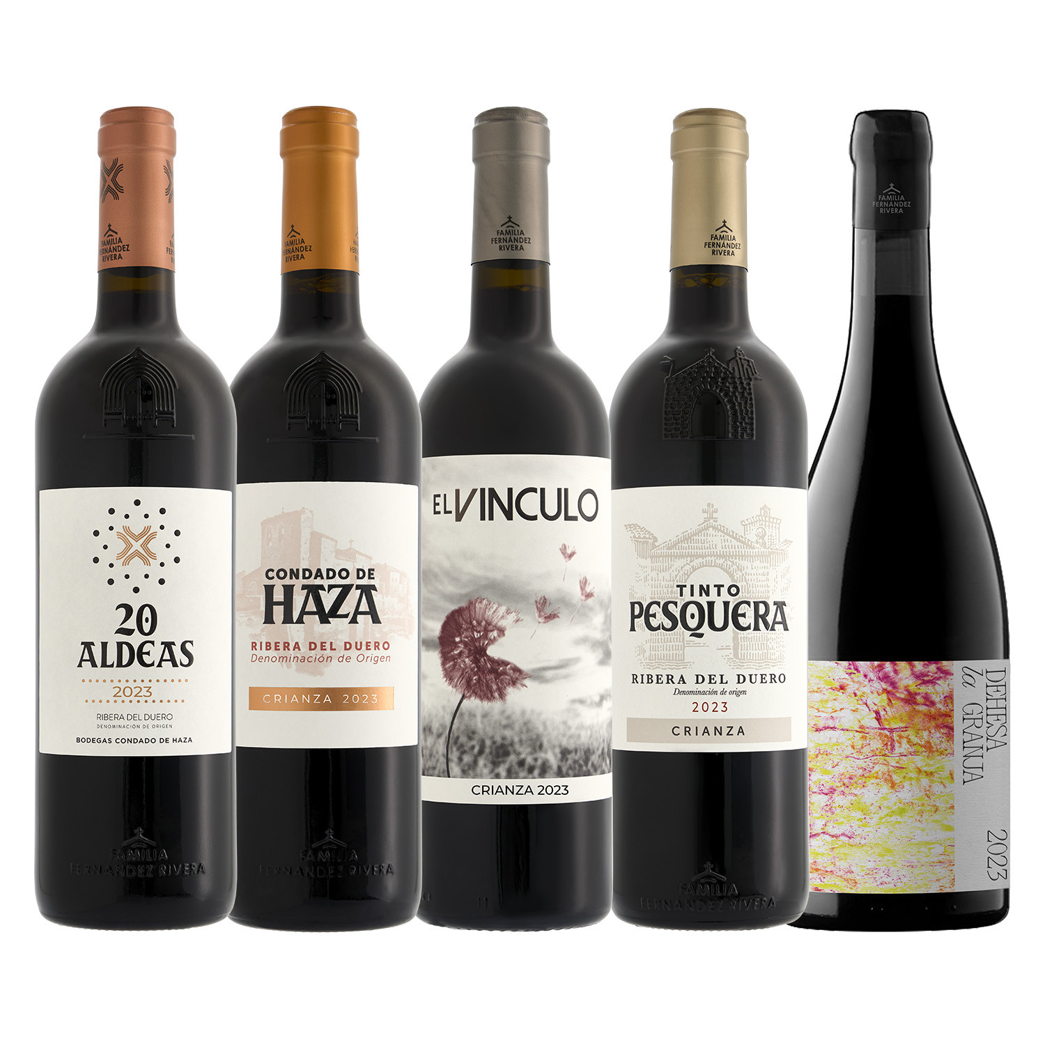 Colección Familia Fernández Rivera