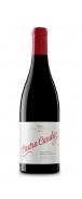 Botella del vino tinto Castro Candaz 2020