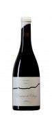 Botella del vino tinto Dominio de Anza Selección de Parcelas 2021