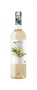 Botella del vino blanco Kentia 2022