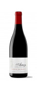 Botella del vino tinto Pasos de San Martín 2018