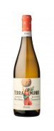 Botella del vino blanco Terra Mundi Albariño 2024