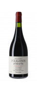 Botella del vino de Zuccardi Polígonos San Pablo Cabernet Franc 2022