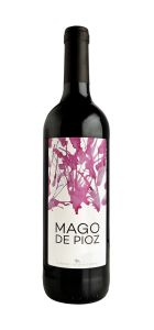 Mago de Pioz 2019