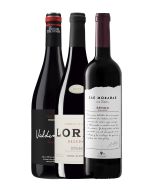 Enolobox – Agosto 2026
