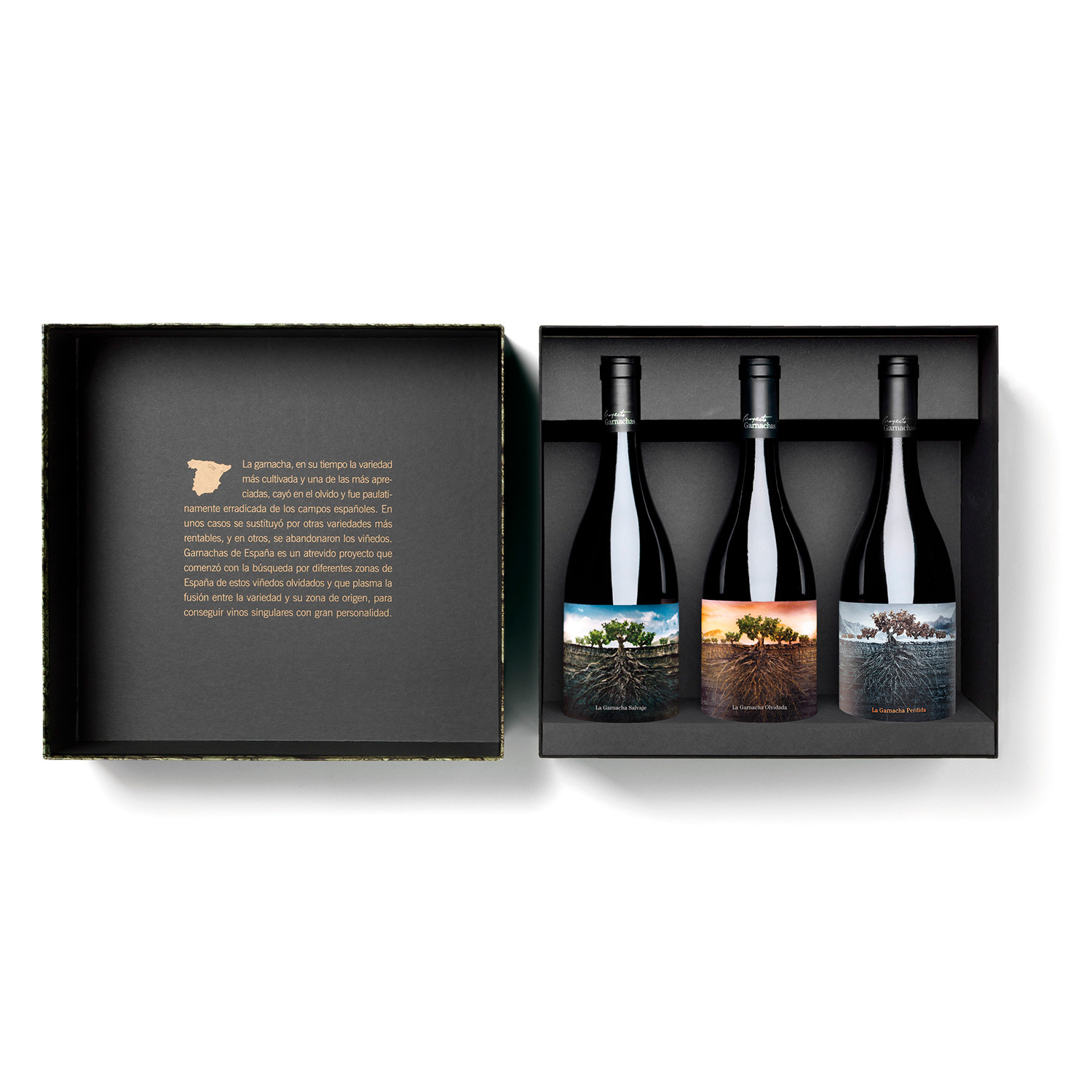 Estuche Proyecto Garnachas | 3 botellas