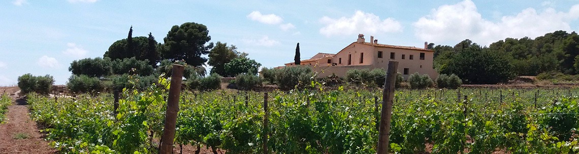 Mas Vilella