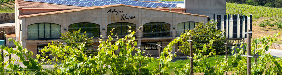Adegas Valmiñor   