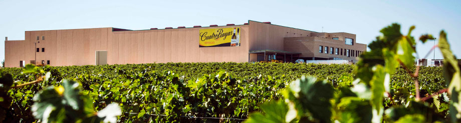 Bodega Cuatro Rayas