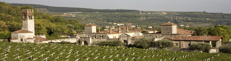 Allegrini