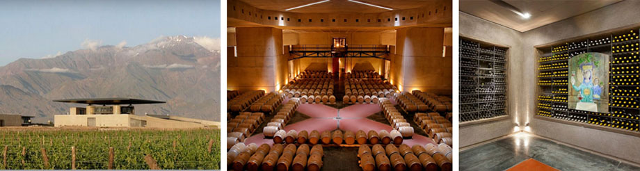 Bodegas y Viñedos O. Fournier-Argentina 