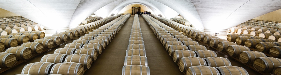 Bodega Otazu