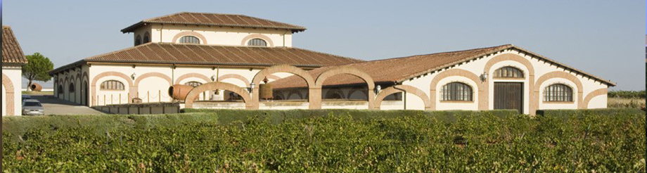 Bodegas Fariña
