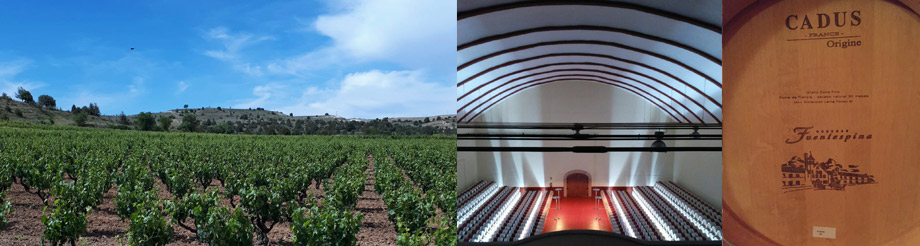 Bodegas Fuentespina 